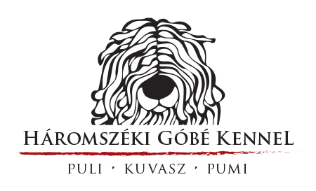 Háromszéki Góbé Logo design
