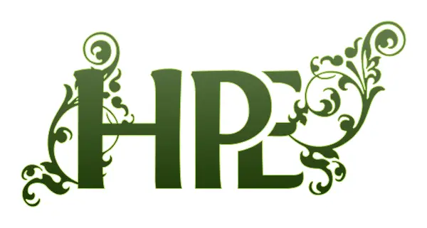 HPE Logo design