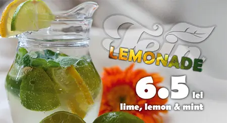 Tein Lemonade flyer graphic design