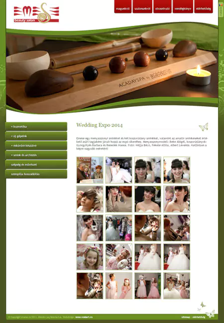 www.emese.ro web design