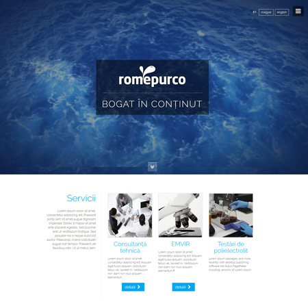 www.romepurco.ro web design